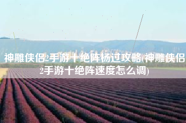 神雕侠侣2手游十绝阵杨过攻略(神雕侠侣2手游十绝阵速度怎么调)