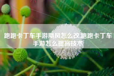跑跑卡丁车手游飓风怎么改,跑跑卡丁车手游怎么提高技术