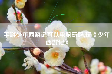 手游少年西游记可以电脑玩吗,玩《少年西游记》