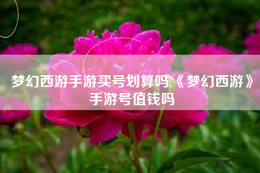梦幻西游手游买号划算吗,《梦幻西游》手游号值钱吗
