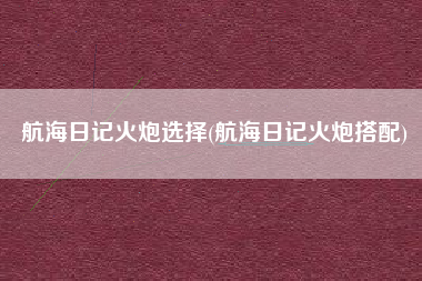 航海日记火炮选择(航海日记火炮搭配)
