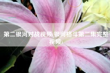 第二银河对战视频(银河格斗第二集完整视频)