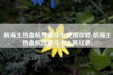 航海王热血航线激斗卡使用攻略(航海王热血航线激斗卡上亮红色)