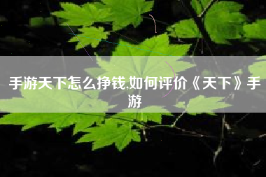 手游天下怎么挣钱,如何评价《天下》手游