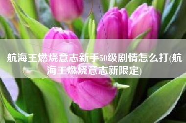 航海王燃烧意志新手50级剧情怎么打(航海王燃烧意志新限定)
