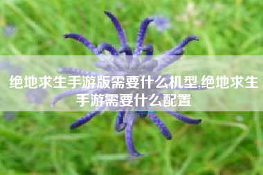 绝地求生手游版需要什么机型,绝地求生手游需要什么配置