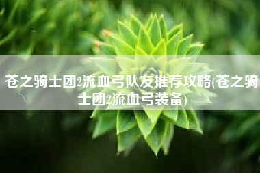 苍之骑士团2流血弓队友推荐攻略(苍之骑士团2流血弓装备)