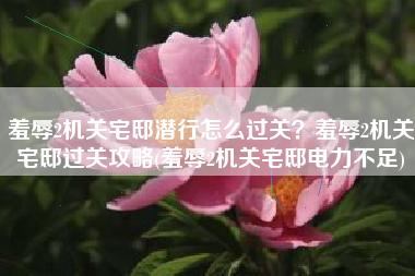 羞辱2机关宅邸潜行怎么过关？羞辱2机关宅邸过关攻略(羞辱2机关宅邸电力不足)