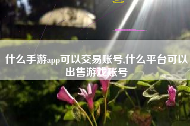 什么手游app可以交易账号,什么平台可以出售游戏账号