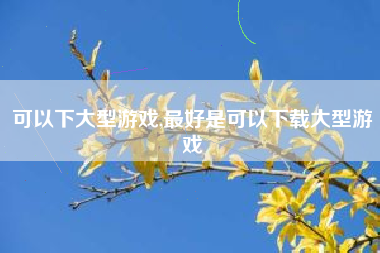 可以下大型游戏,最好是可以下载大型游戏