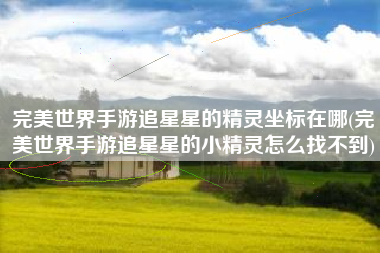 完美世界手游追星星的精灵坐标在哪(完美世界手游追星星的小精灵怎么找不到)