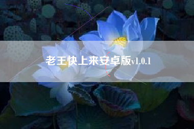 老王快上来安卓版v1.0.1