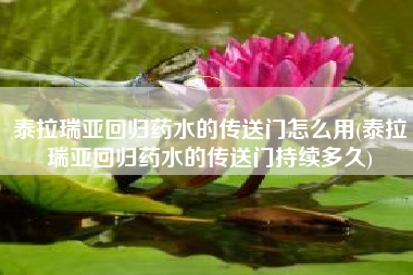 泰拉瑞亚回归药水的传送门怎么用(泰拉瑞亚回归药水的传送门持续多久)
