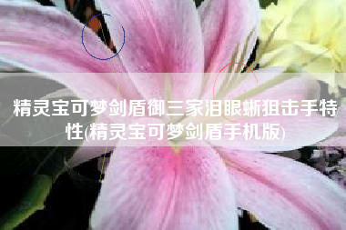 精灵宝可梦剑盾御三家泪眼蜥狙击手特性(精灵宝可梦剑盾手机版)