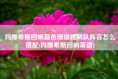 玛娜希斯回响蓝色珊瑚礁风队阵容怎么搭配(玛娜希斯回响菜谱)