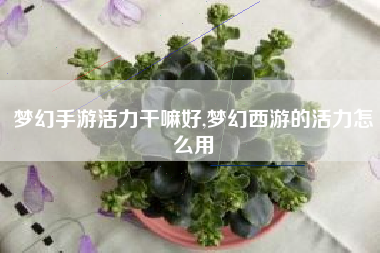 梦幻手游活力干嘛好,梦幻西游的活力怎么用