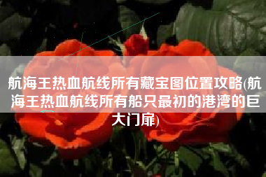 航海王热血航线所有藏宝图位置攻略(航海王热血航线所有船只最初的港湾的巨大门扉)