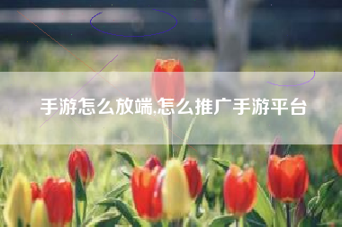 手游怎么放端,怎么推广手游平台
