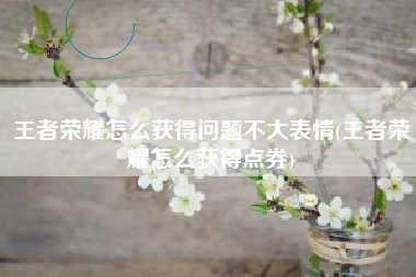 王者荣耀怎么获得问题不大表情(王者荣耀怎么获得点券)