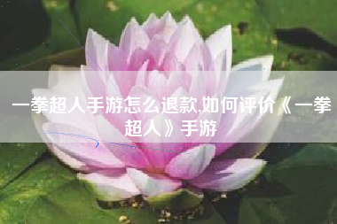 一拳超人手游怎么退款,如何评价《一拳超人》手游