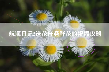 航海日记2送花任务鲜花的祝福攻略