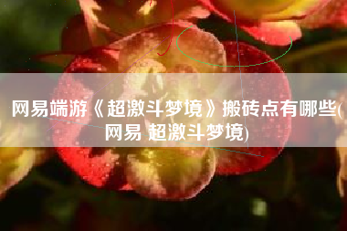 网易端游《超激斗梦境》搬砖点有哪些(网易 超激斗梦境)