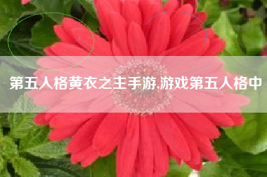 第五人格黄衣之主手游,游戏第五人格中