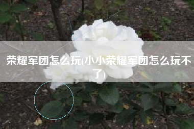 荣耀军团怎么玩(小小荣耀军团怎么玩不了)