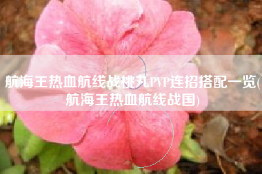 航海王热血航线战桃丸PVP连招搭配一览(航海王热血航线战国)