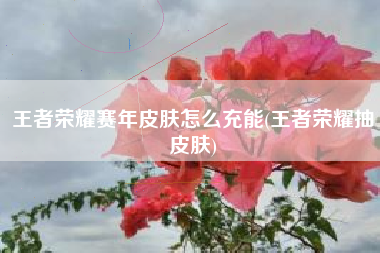 王者荣耀赛年皮肤怎么充能(王者荣耀抽皮肤)