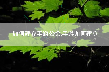 如何建立手游公会,手游如何建立