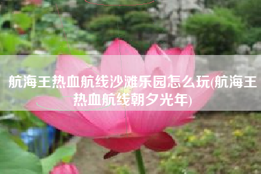 航海王热血航线沙滩乐园怎么玩(航海王热血航线朝夕光年)