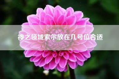 神之领域索尔放在几号位合适