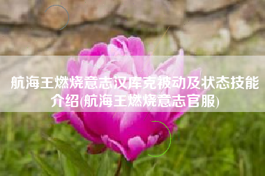 航海王燃烧意志汉库克被动及状态技能介绍(航海王燃烧意志官服)