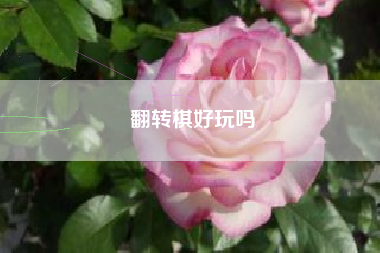 翻转棋好玩吗
