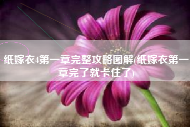 纸嫁衣4第一章完整攻略图解(纸嫁衣第一章完了就卡住了)