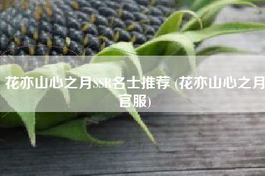 花亦山心之月SSR名士推荐 (花亦山心之月官服)