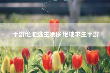手游绝地逃生漂移,绝地求生手游
