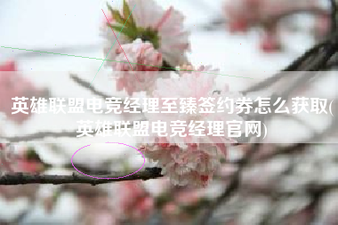 英雄联盟电竞经理至臻签约券怎么获取(英雄联盟电竞经理官网)