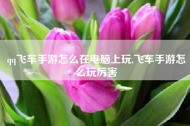 qq飞车手游怎么在电脑上玩,飞车手游怎么玩厉害