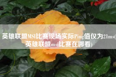 英雄联盟MSI比赛现场实际Ping值仅为21ms(英雄联盟msi比赛在哪看)