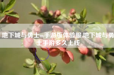 地下城与勇士m手游版体验服,地下城与勇士手游多久上线