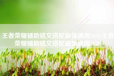 王者荣耀辅助铭文搭配最强通用2020(王者荣耀辅助铭文搭配最强通用2020)