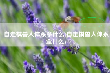 自走棋兽人体系拿什么(自走棋兽人体系拿什么)