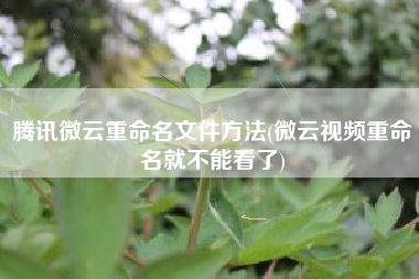 腾讯微云重命名文件方法(微云视频重命名就不能看了)