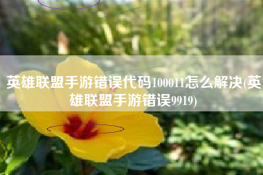 英雄联盟手游错误代码100011怎么解决(英雄联盟手游错误9919)