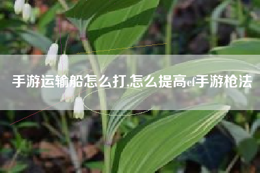 手游运输船怎么打,怎么提高cf手游枪法