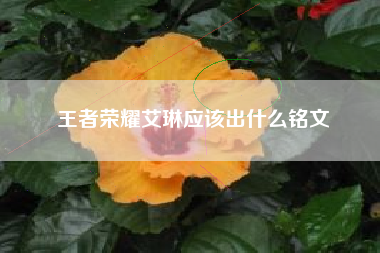 王者荣耀艾琳应该出什么铭文