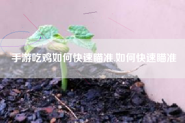 手游吃鸡如何快速瞄准,如何快速瞄准