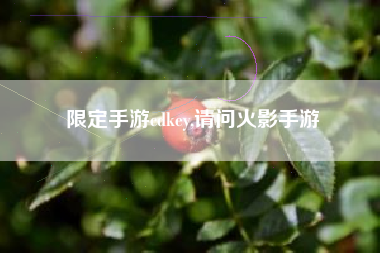 限定手游cdkey,请问火影手游